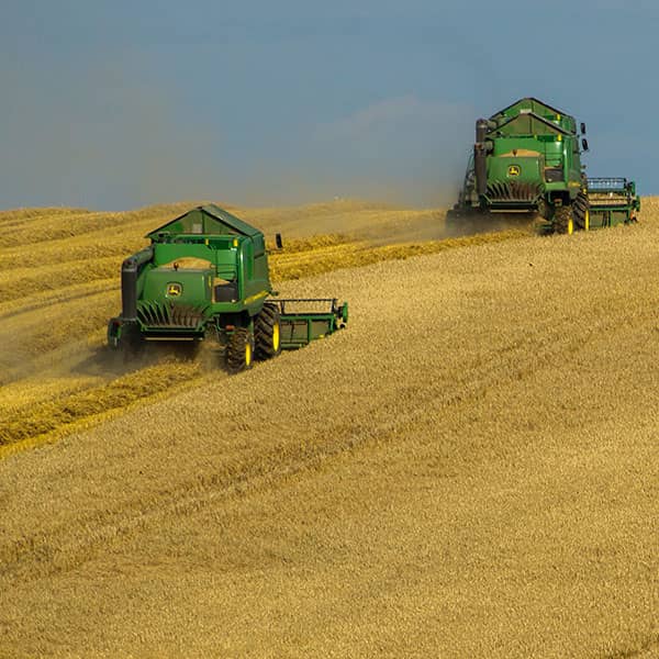 Global Positioning System in agriculture article image