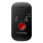 Huabao HB-T10 device image